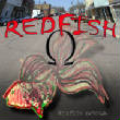 GraphicDesignTWO/redfish1.jpg