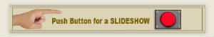 GraphicDesignTWO/pushbutton3.jpg