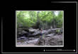 MSphoto/Frolic.jpg