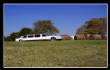 MSphoto/haybiz.jpg