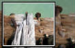MSphoto/jetty.jpg