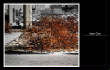 MSphoto/zzIronOre.jpg