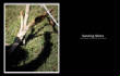 MSphoto/zzbendstk.jpg