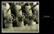 MSphoto/zzfaucets.jpg
