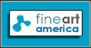 Fine Art America